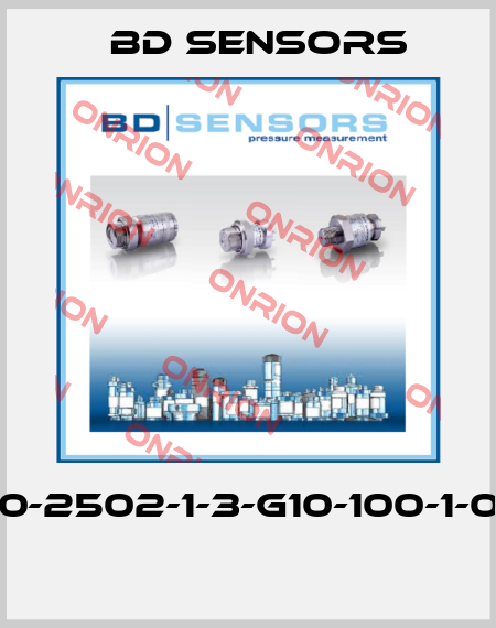 600-2502-1-3-G10-100-1-000  Bd Sensors