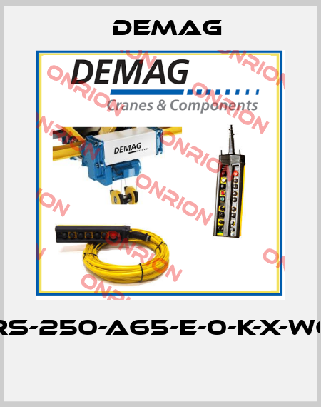 DRS-250-A65-E-0-K-X-W60  Demag
