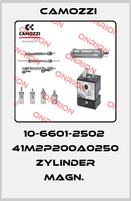 10-6601-2502  41M2P200A0250   ZYLINDER MAGN.  Camozzi