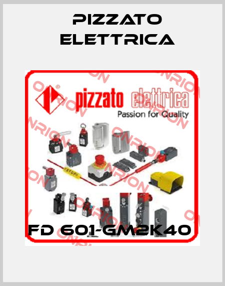 FD 601-GM2K40  Pizzato Elettrica