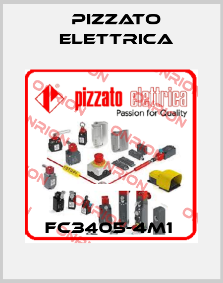 FC3405-4M1  Pizzato Elettrica