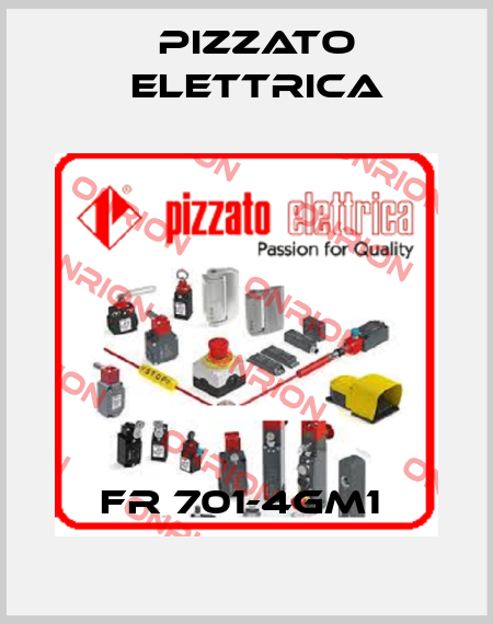 FR 701-4GM1  Pizzato Elettrica