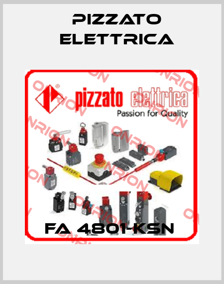 FA 4801-KSN  Pizzato Elettrica