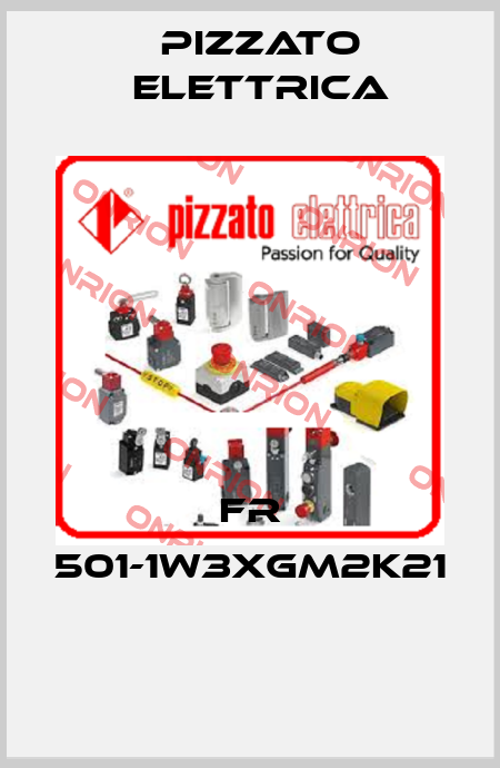 FR 501-1W3XGM2K21  Pizzato Elettrica