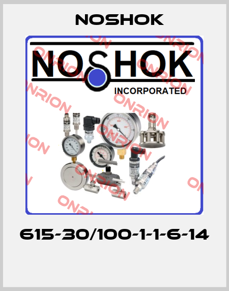 615-30/100-1-1-6-14  Noshok