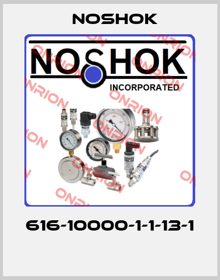 616-10000-1-1-13-1  Noshok