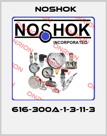 616-300A-1-3-11-3  Noshok