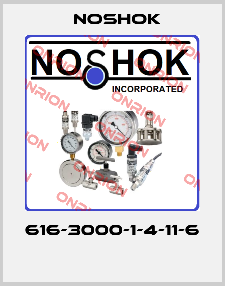 616-3000-1-4-11-6  Noshok