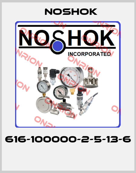 616-100000-2-5-13-6  Noshok