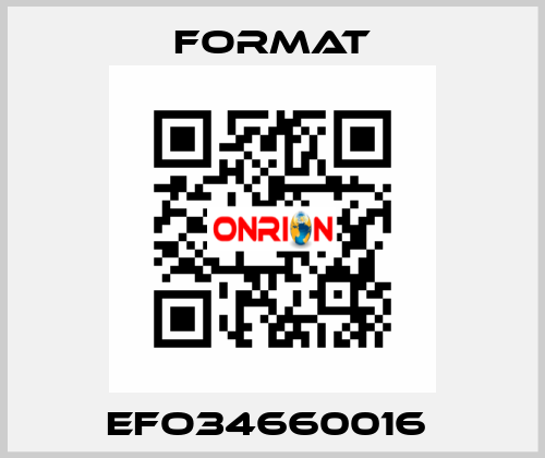 EFO34660016  Format