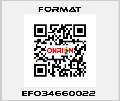 EFO34660022  Format