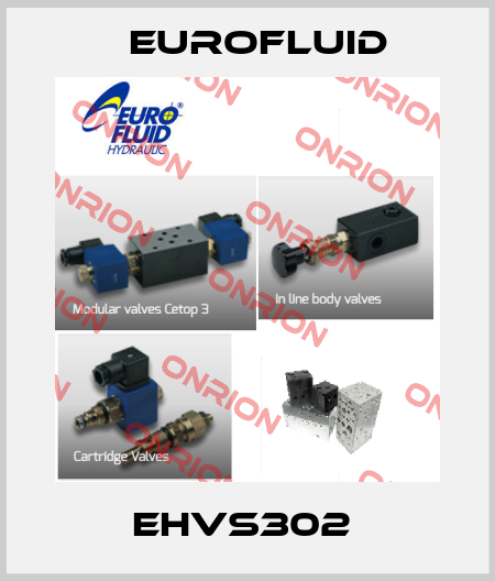 EHVS302  Eurofluid