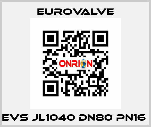 EVS JL1040 DN80 PN16  Eurovalve