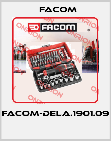 FACOM-DELA.1901.09  Facom