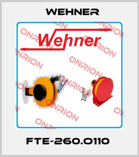 FTE-260.O110  Wehner