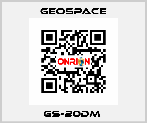 GS-20DM  GeoSpace