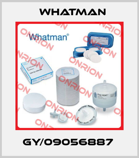 GY/09056887  Whatman
