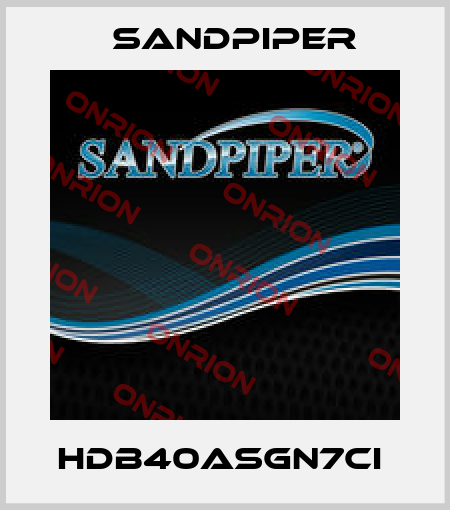 HDB40ASGN7CI  Sandpiper