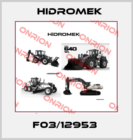 F03/12953  Hidromek