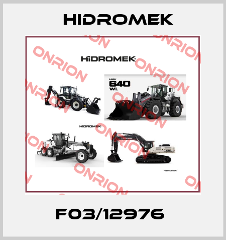 F03/12976  Hidromek