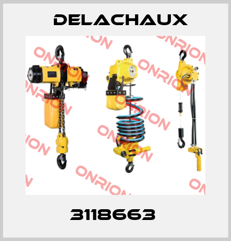 3118663  Delachaux