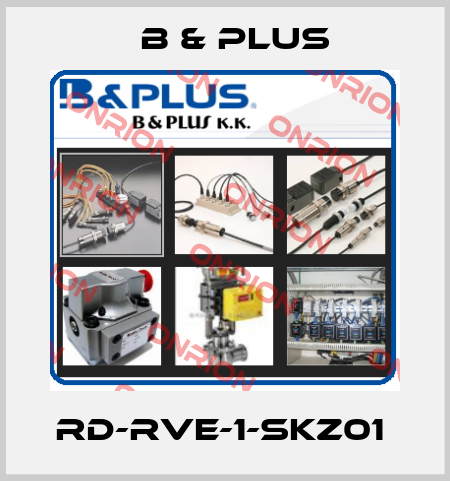 RD-RVE-1-SKZ01  B & PLUS