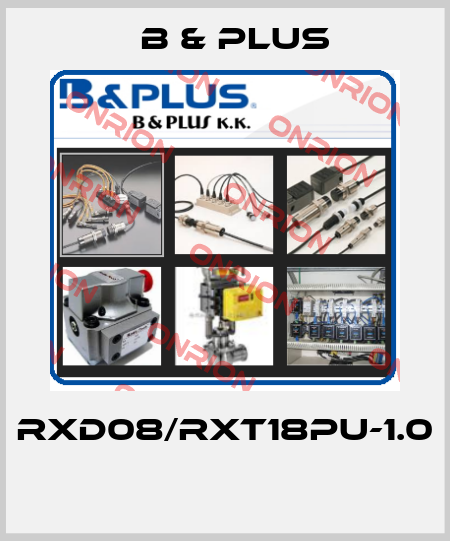 RXD08/RXT18PU-1.0  B & PLUS