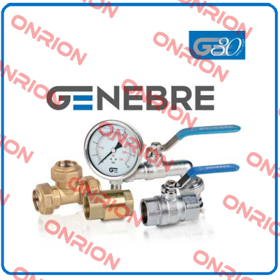 2954 09 (pack x10) Genebre