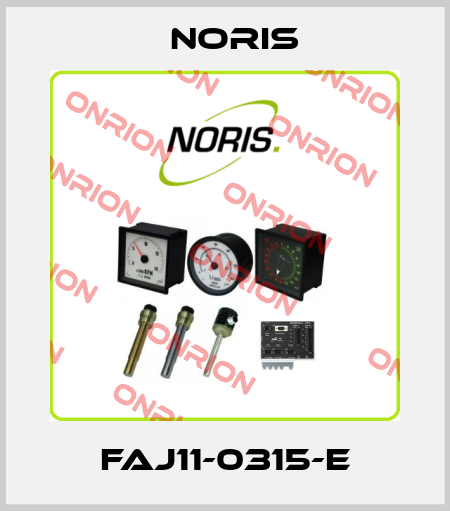 FAJ11-0315-E Noris