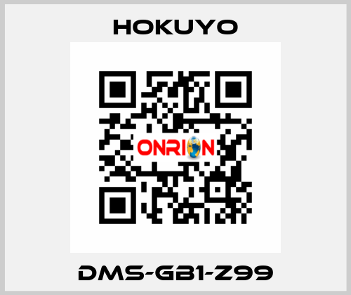 DMS-GB1-Z99 Hokuyo