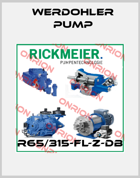 R65/315-FL-Z-DB Werdohler Pump