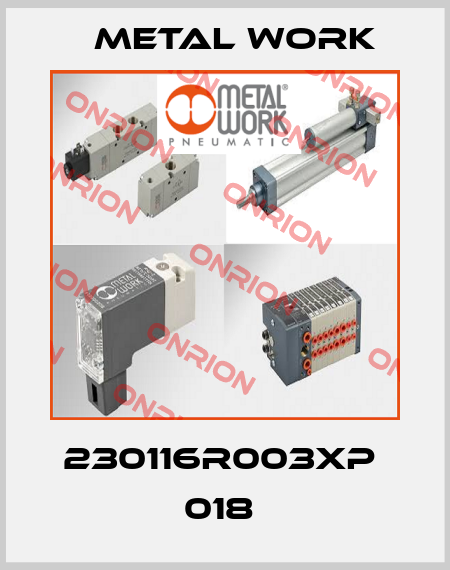 230116R003XP  018  Metal Work