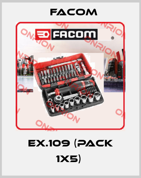 EX.109 (pack 1x5)  Facom