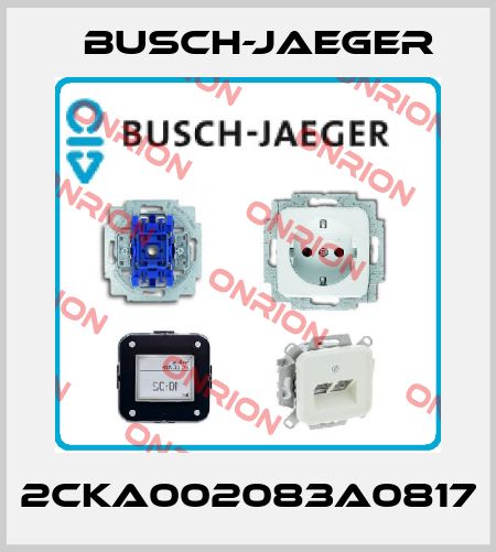 2CKA002083A0817 Busch-Jaeger