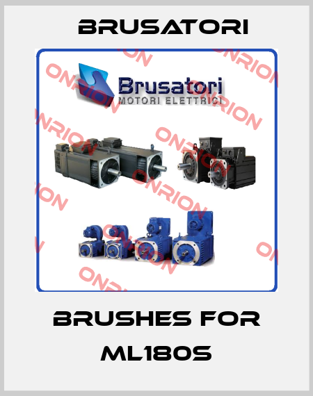 brushes for ML180S Brusatori