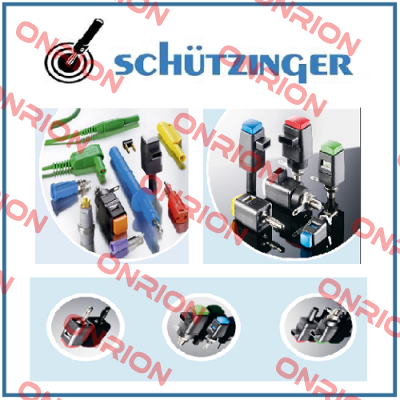SDK 799 / RT Schutzinger