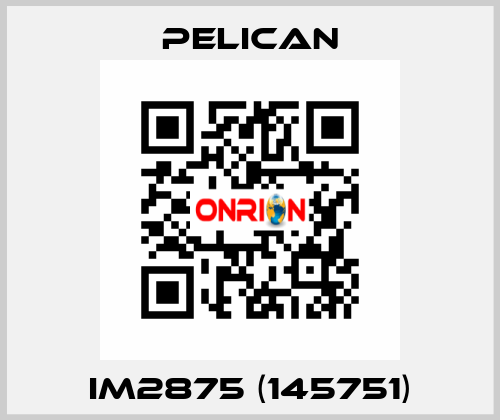 iM2875 (145751) Pelican