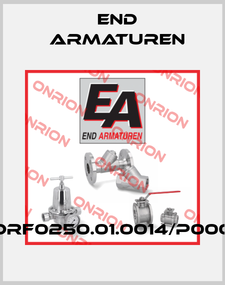 DRF0250.01.0014/P000 End Armaturen