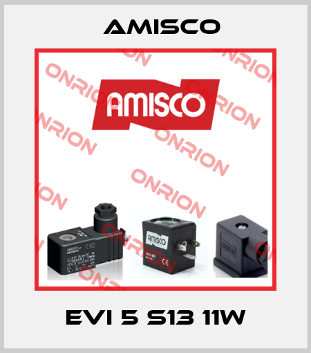 EVI 5 S13 11W Amisco