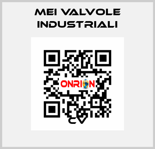 CV MEI VALVOLE INDUSTRIALI