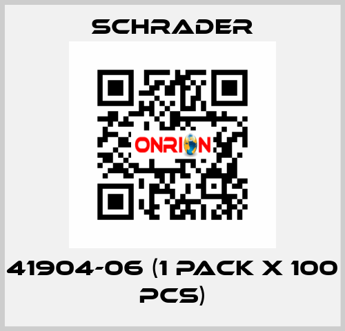 41904-06 (1 pack x 100 pcs) Schrader