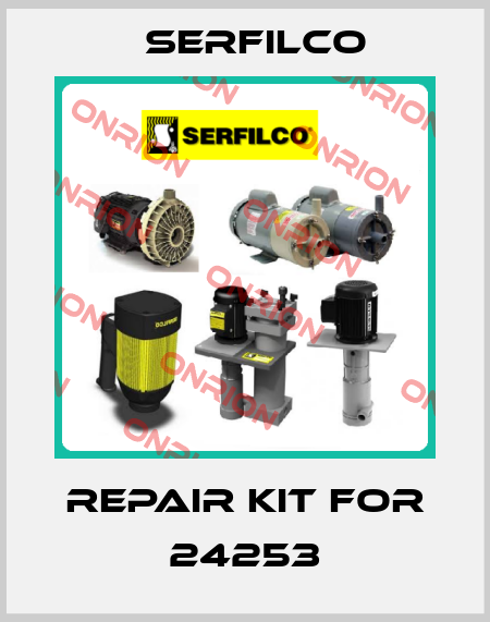 repair kit for 24253 Serfilco