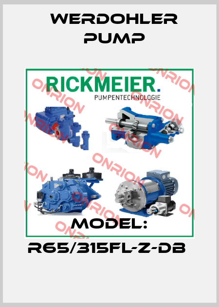 MODEL: R65/315FL-Z-DB  Werdohler Pump