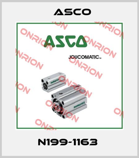 N199-1163  Asco
