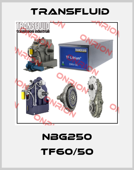 NBG250 TF60/50 Transfluid