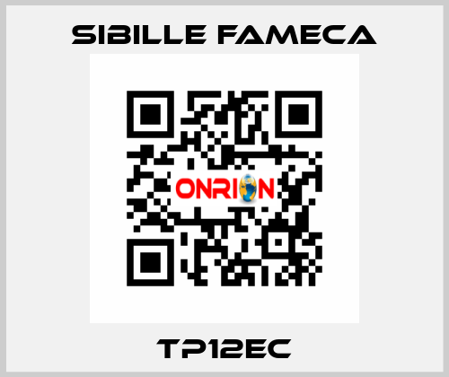 TP12EC Sibille Fameca