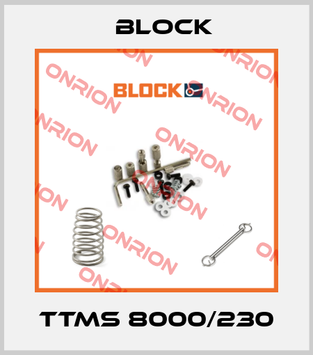 TTMS 8000/230 Block