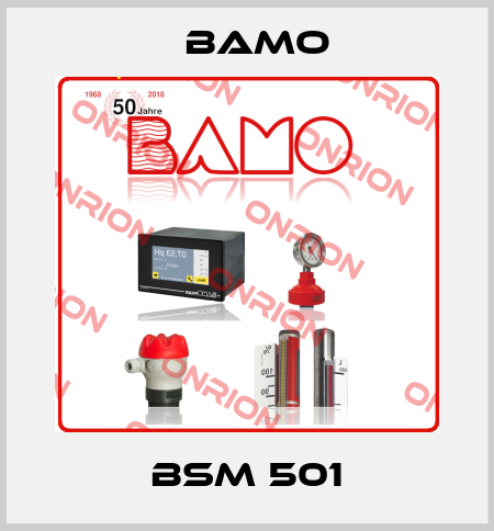 BSM 501 Bamo