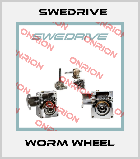 Worm wheel Swedrive