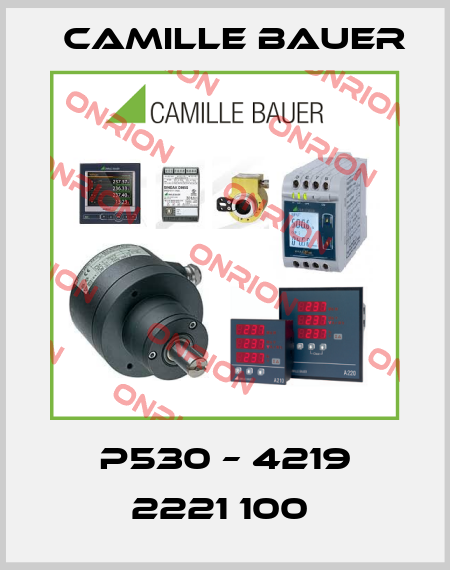 P530 – 4219 2221 100  Camille Bauer